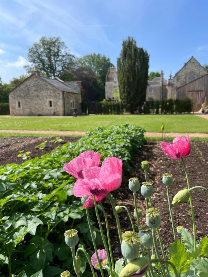 The Green - B&B Wingfield