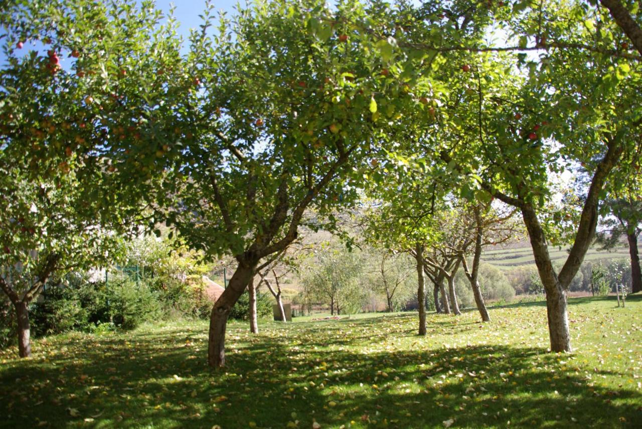 CosyHouse-Kupres - B&B Kupres