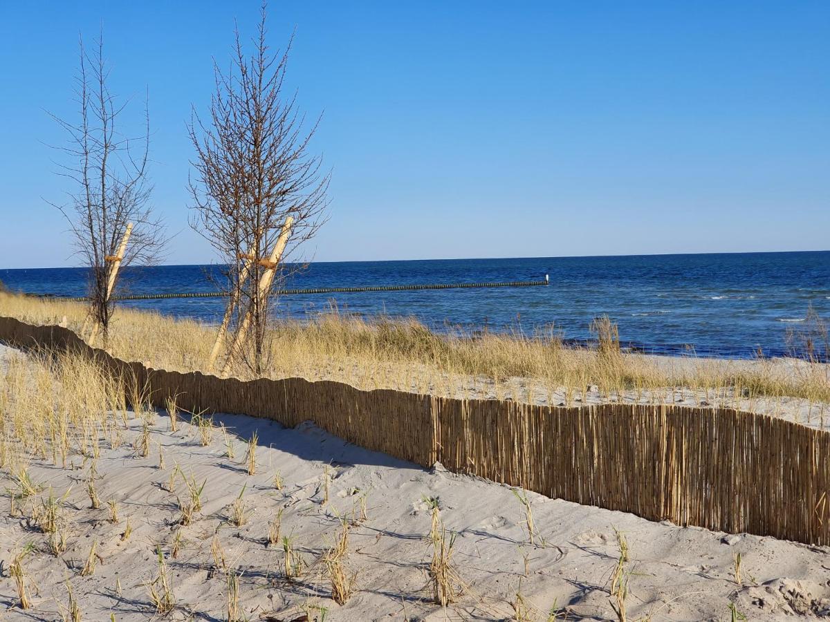 Vier Jahreszeiten Haus 6 Whg 08 - B&B Grossenbrode