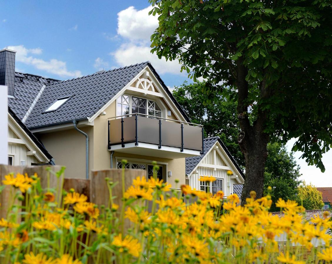 Neue Reihe 28 - Wohnung Vogelnest - Chambres d’hôtes Zingst