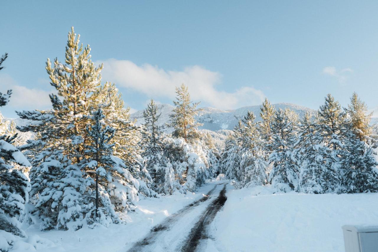 Nordic Escape Blidinje - Chambres d’hôtes Risovac
