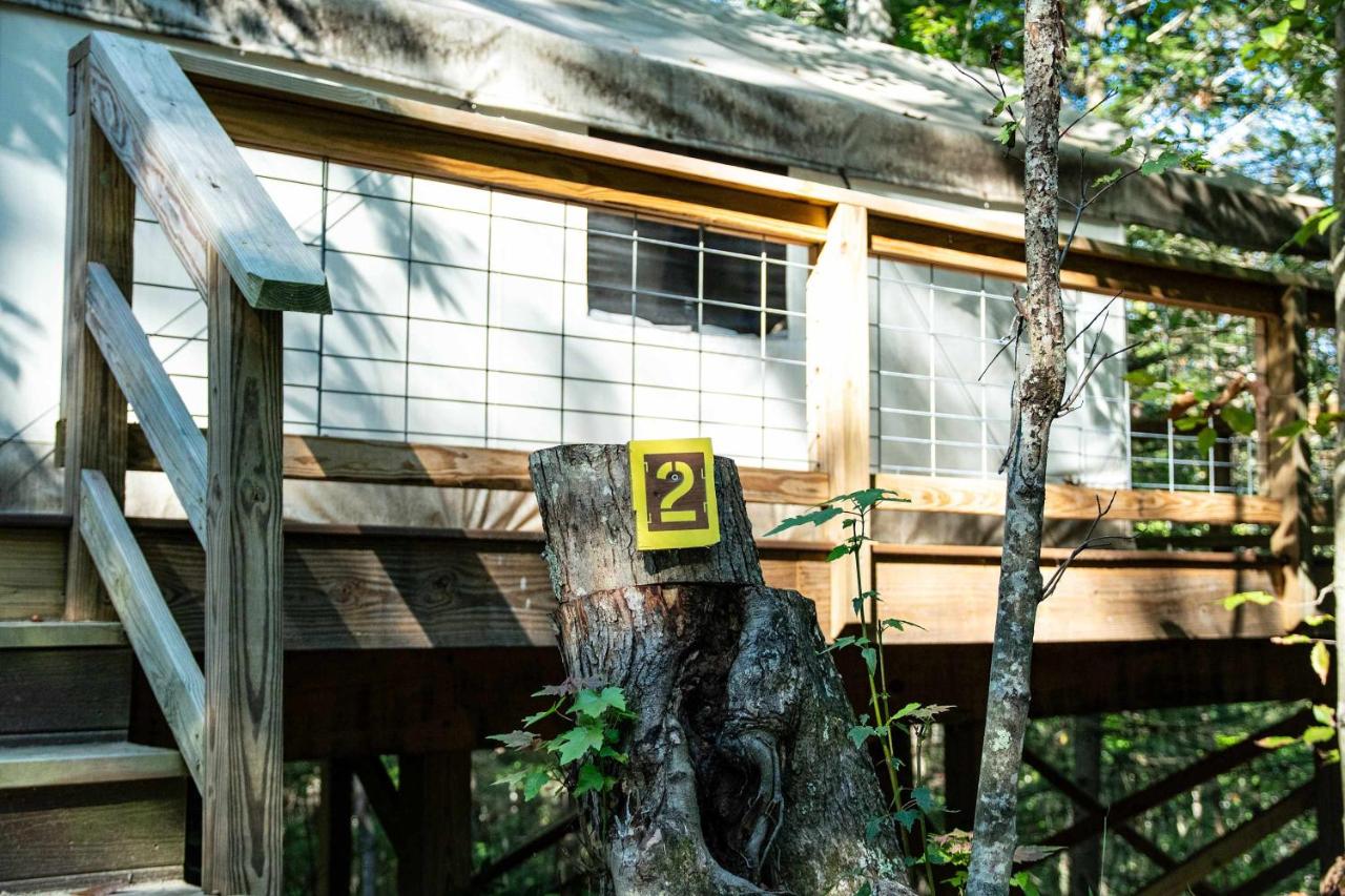 Blue Heron's Nest - Glamping Tent in the Gorge with AC - Ferienwohnung Rogers