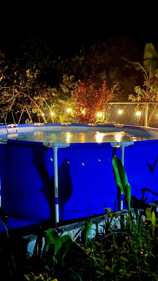 Blue House with Pool and Air-Conditioning - B&B Puerto Jiménez