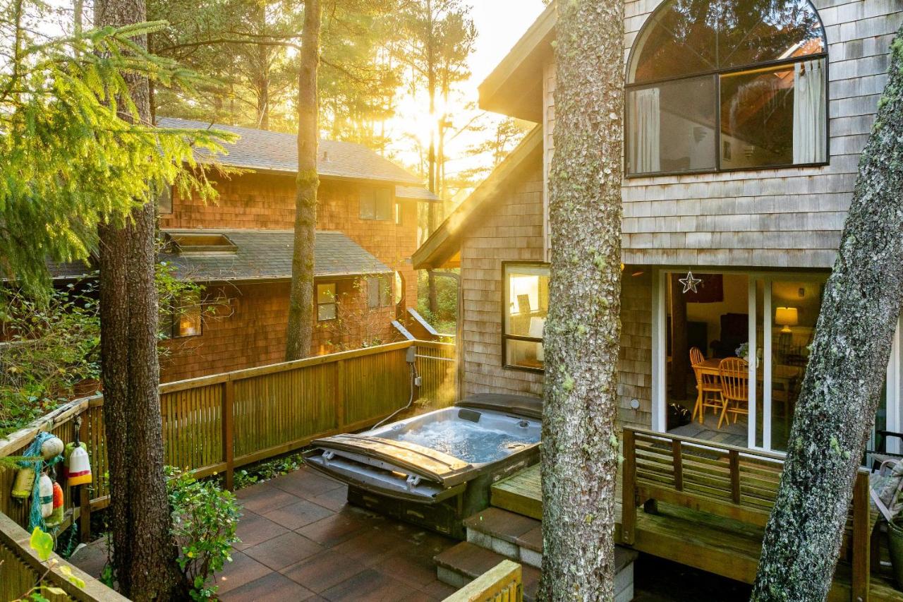 Sea Dream MCA#398 - B&B Manzanita