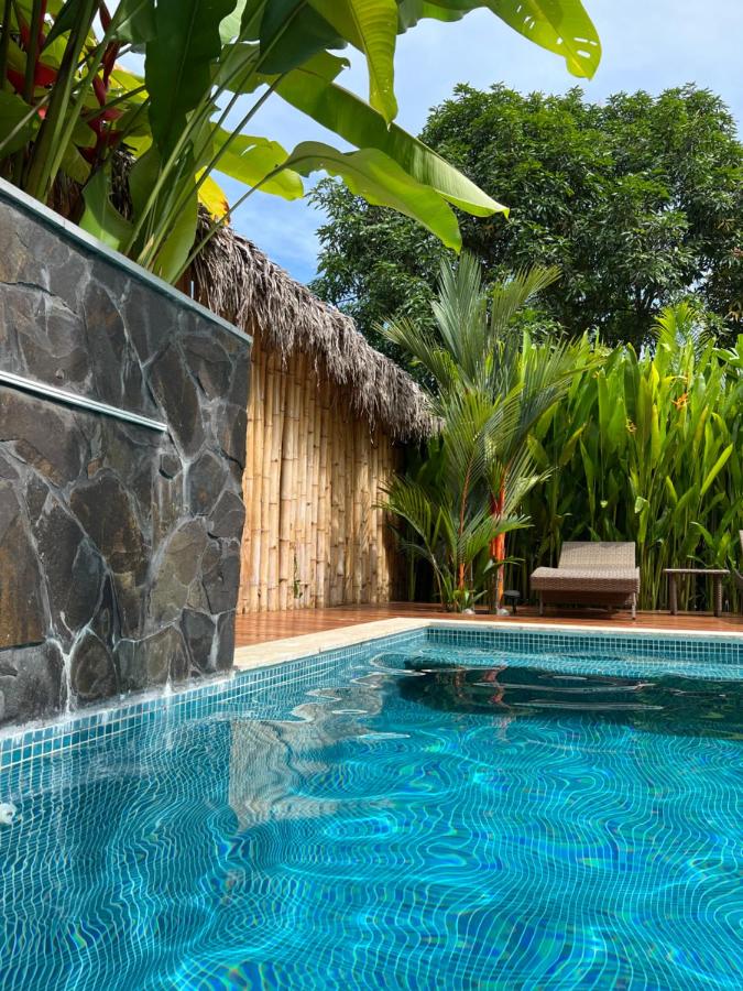 Casa Adam - B&B Pochote