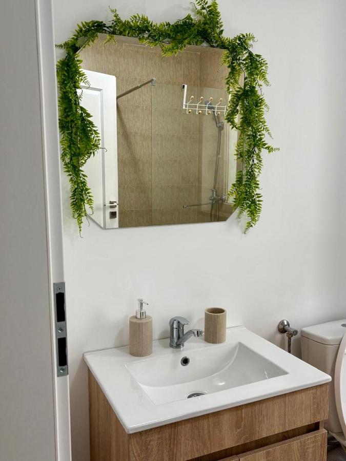 Signature Studio Arad - B&B Arad