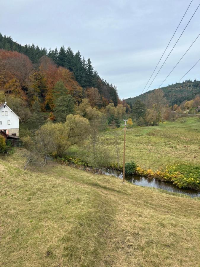 Ferienwohnung Albstern - B&B Bad Herrenalb