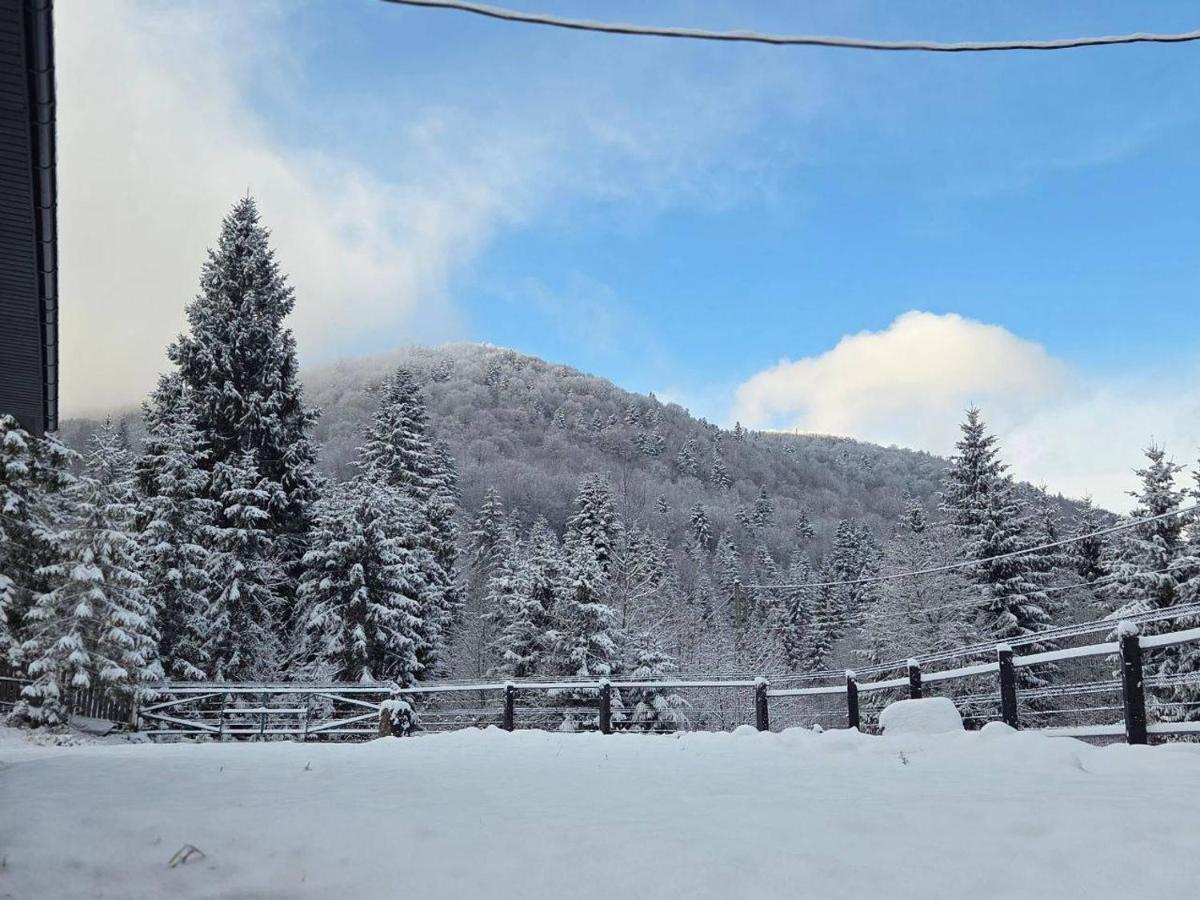 In Black forest - B&B Huta