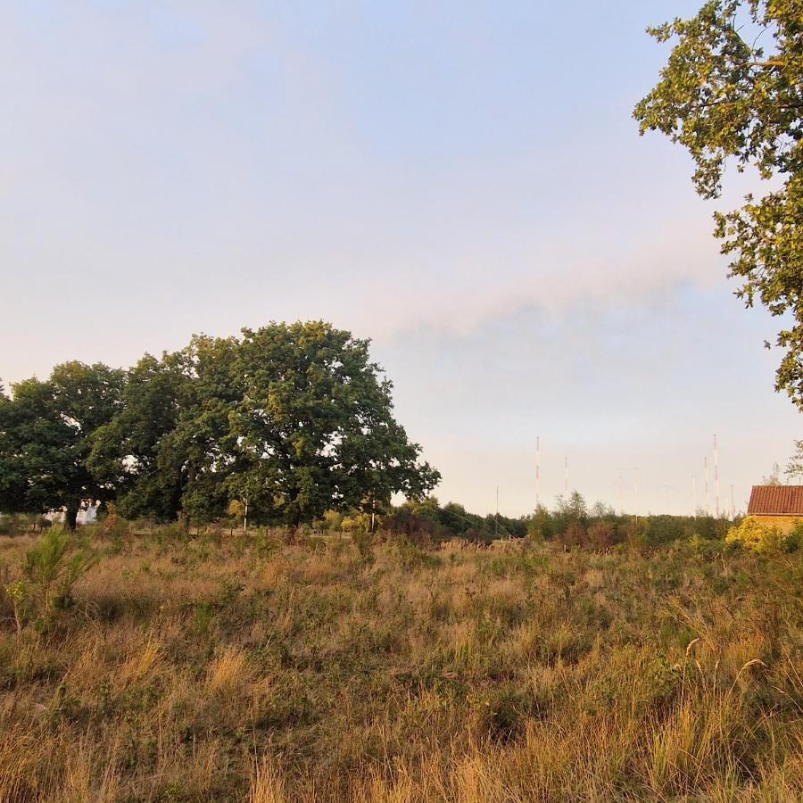 Authentiek vakantiehuis Bos-en-Veld - B&B Wingene