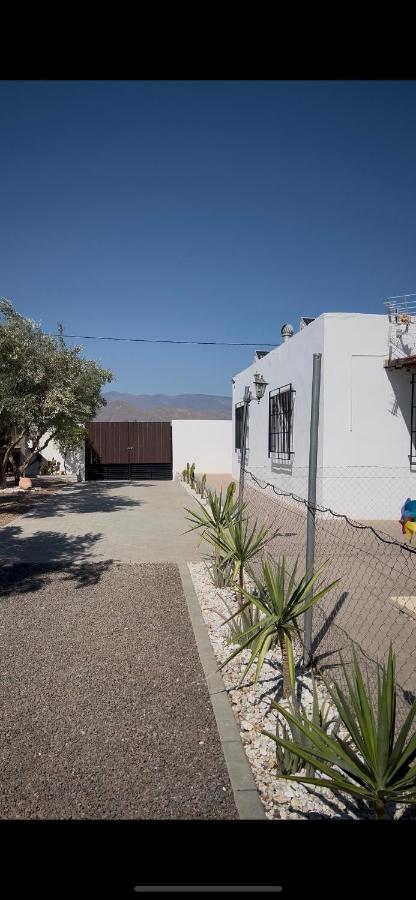 Oasis Pool in the Desert BBQ and Garden - B&B Tabernas