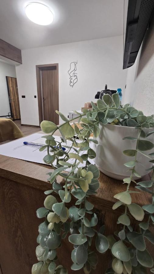 Monolocale con Balcone