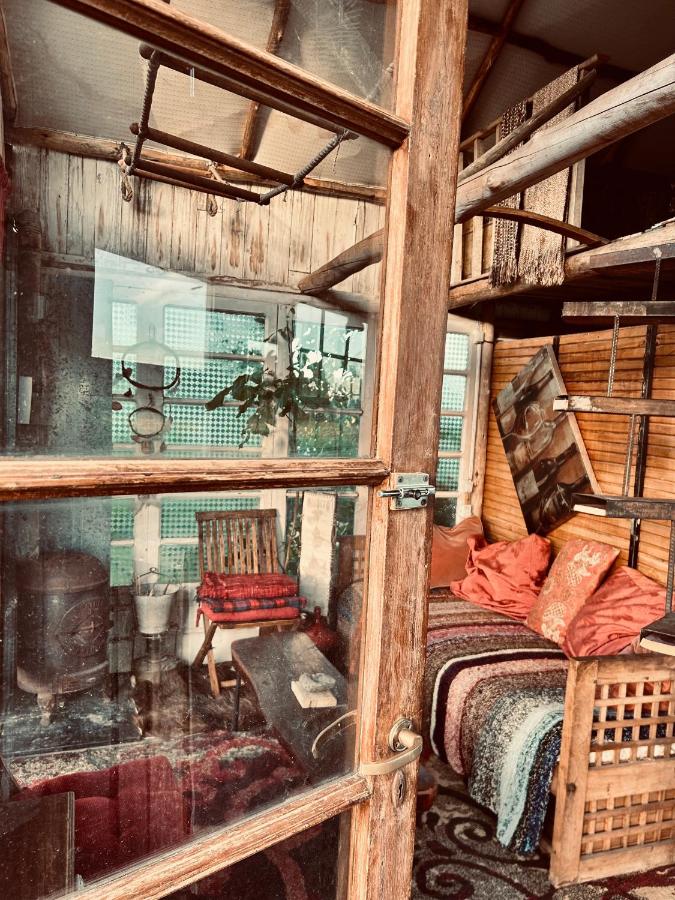 Al Aire Libre - B&B San Rafael