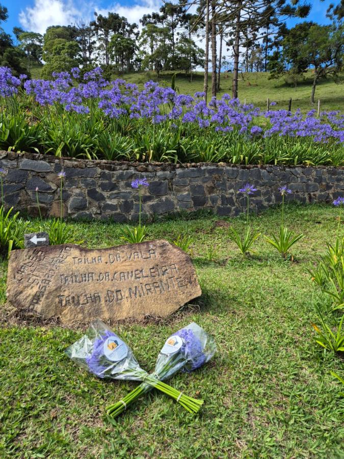 Refugio do sabiá 06 - B&B Cunha