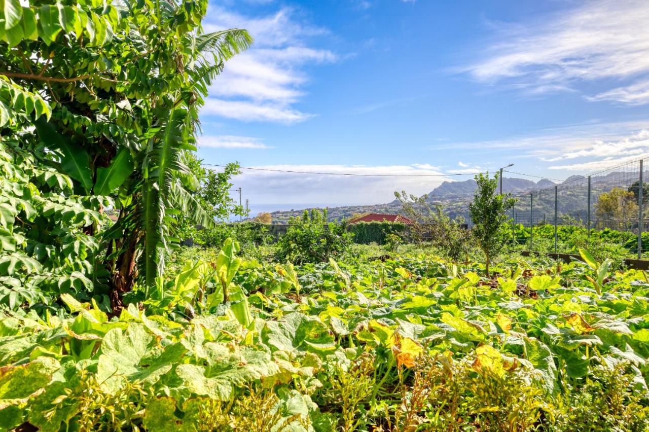 O Miminho, a Home in Madeira - Bed and Breakfast São Jorge
