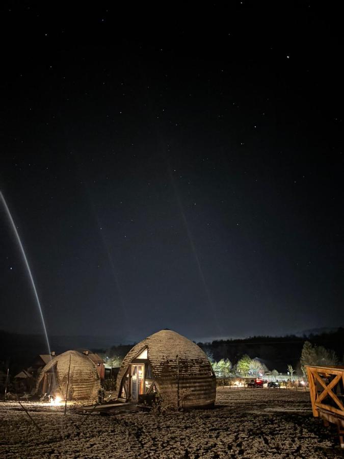 Chalet mit 1 Schlafzimmer