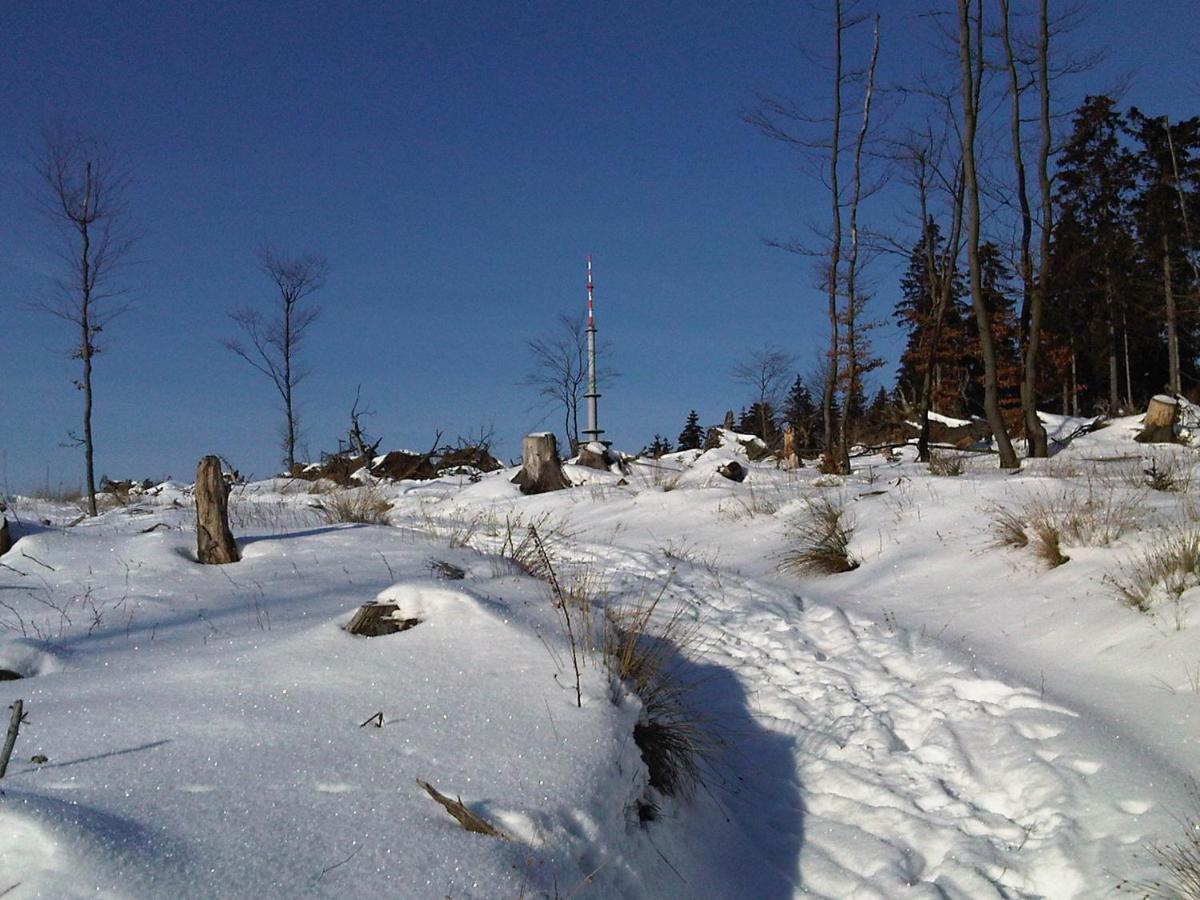 Apartamento con terraza 