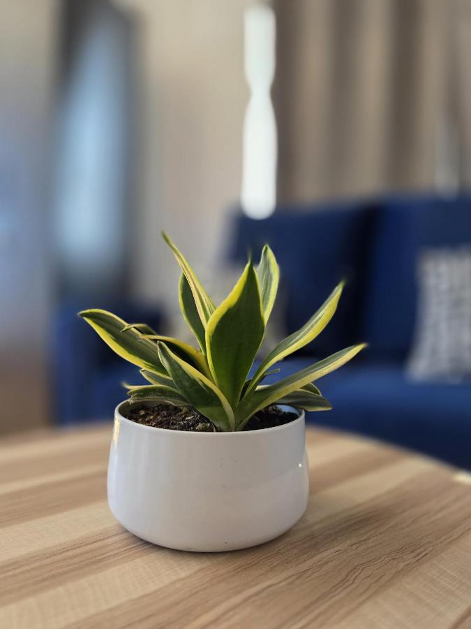 Habitación Triple con balcón