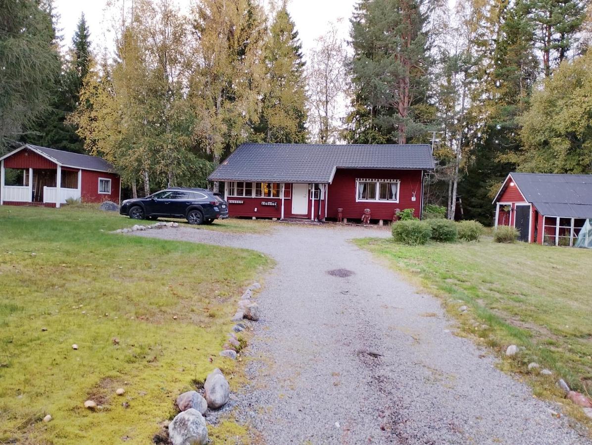 Stuga Lucy i Hassela -naturupplevelser - B&B Hassela