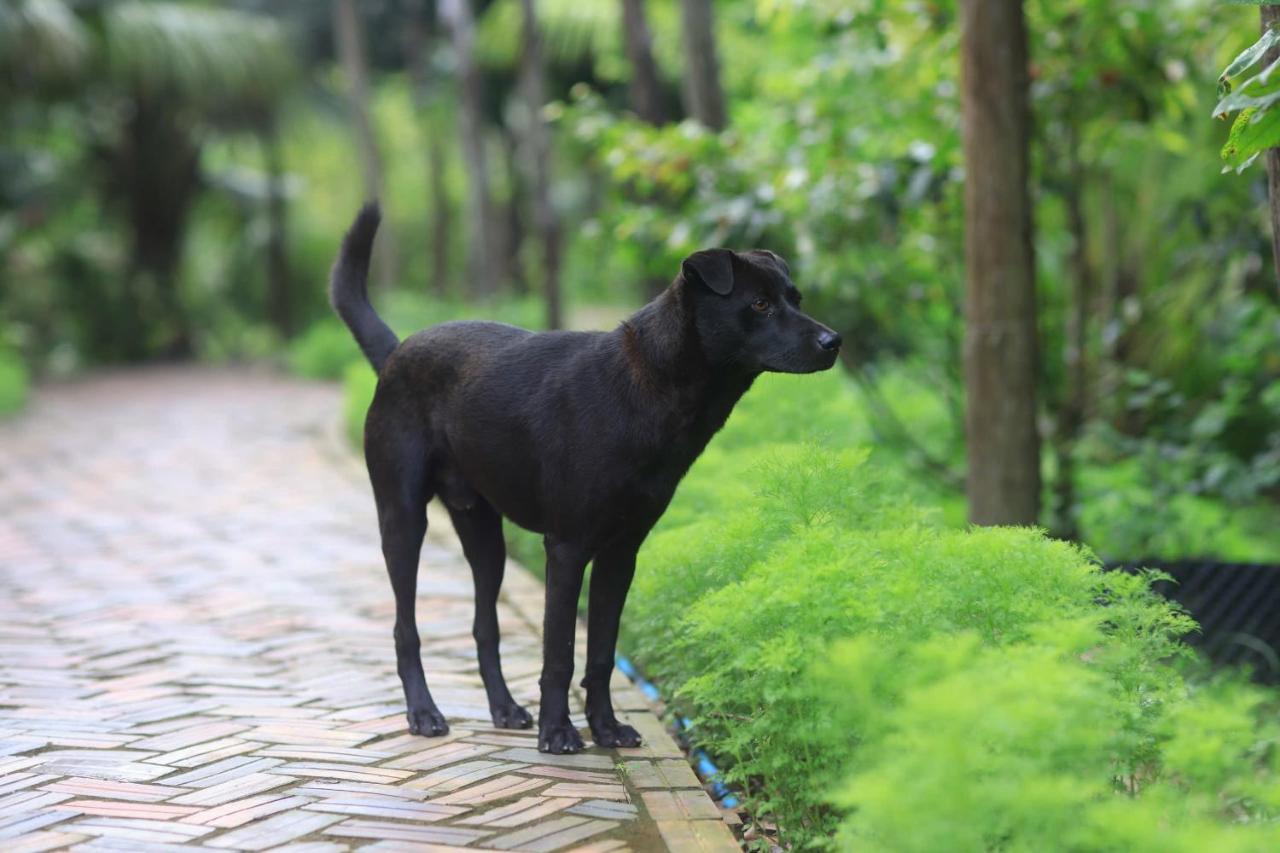 Mekong Rustic Riverside - Ferienwohnung Ấp An Nhơn
