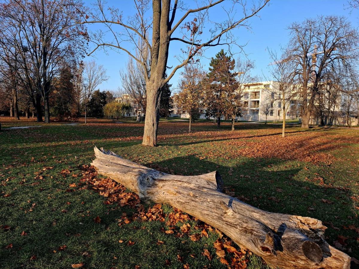 Sugar Apartment 41A - B&B Trnava