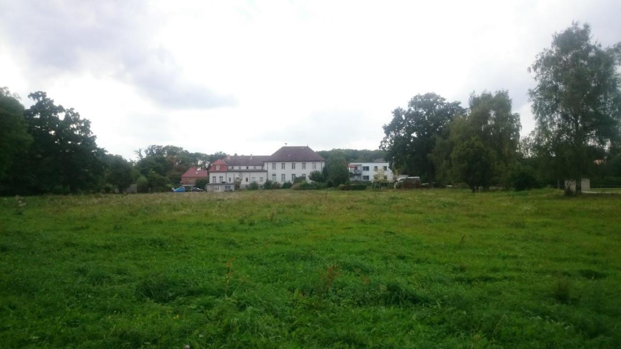 Gutshaus am Nationalpark Unteres Odertal - Chambres d'hôtes Schwedt (Oder)