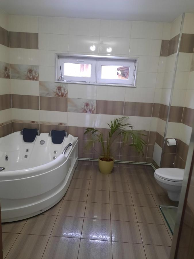 MihaiResidence - Ferienwohnung Craiova
