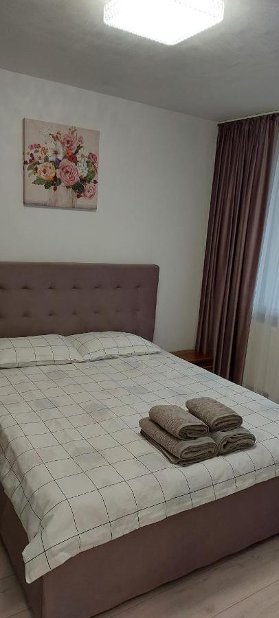 Apartament 2 Rooms Craiova City Christmas - B&B Craiova