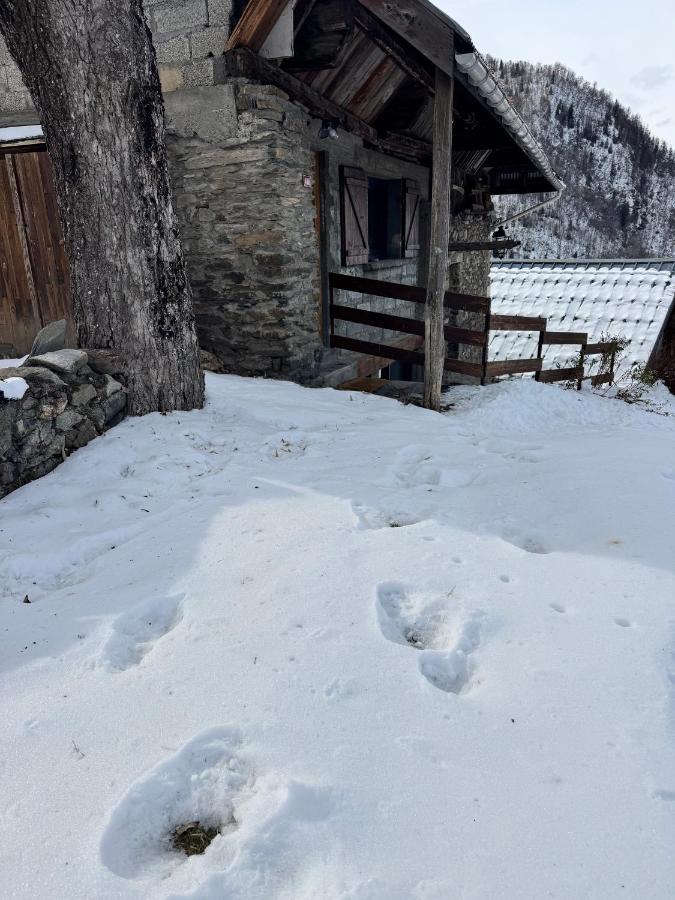 Les Écrins d'or - Maison Les Deux Alpes - Ferienwohnung Les Deux Alpes