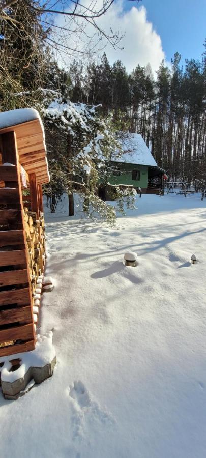 Zielony domek - B&B Krasnobród