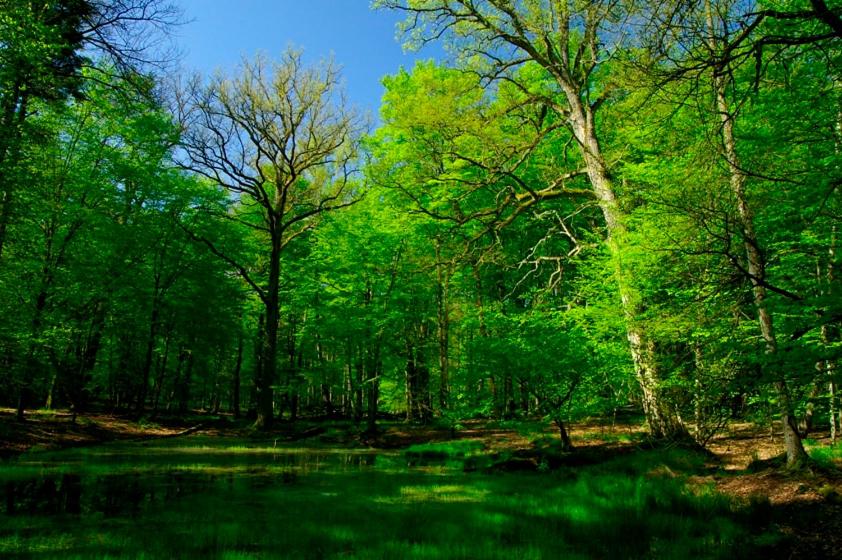 Agroturystyka Borówka - B&B Mały Dólsk
