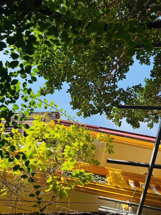 Hà Nội Mái Hiên Home - B&B Hanoi