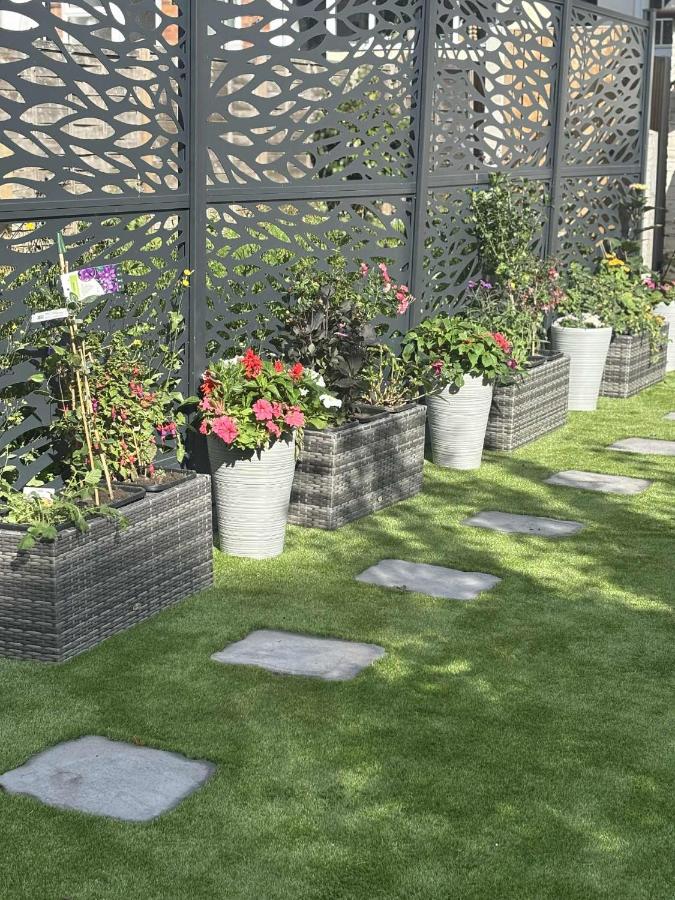 Wonky 2 A Cosy Hideaway in the Heart of Cheshire - B&B Macclesfield