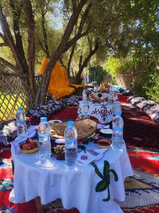 Kasbah Dar Dmana - B&B Skoura