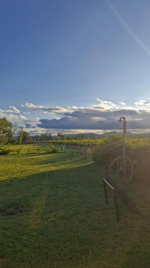 Cabaña Oliva - Privacidad frente a los viñedos - B&B San Rafael