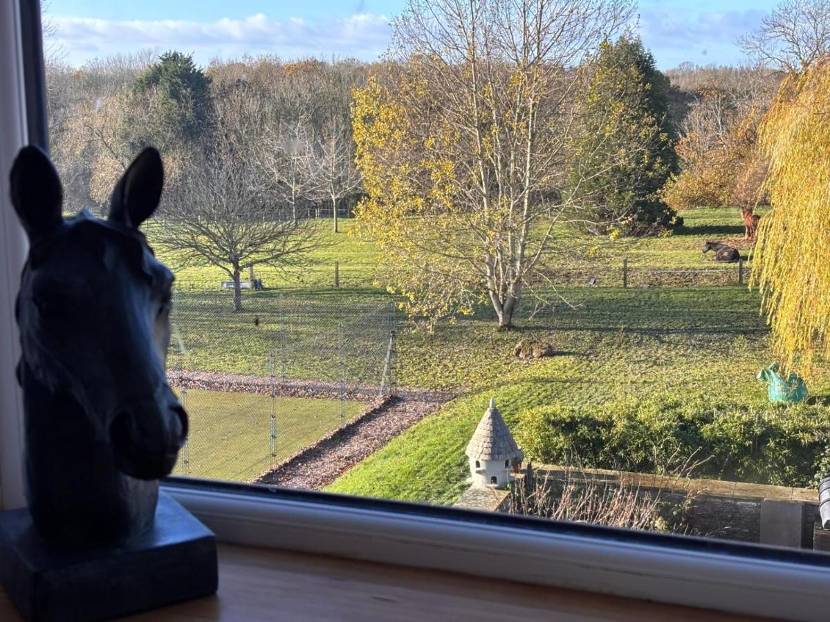 Rural Lake View in Welford upon Avon - B&B Binton