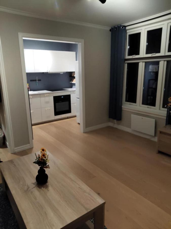 In the middle of the city, garden and parking! - Ferienwohnung Tønsberg