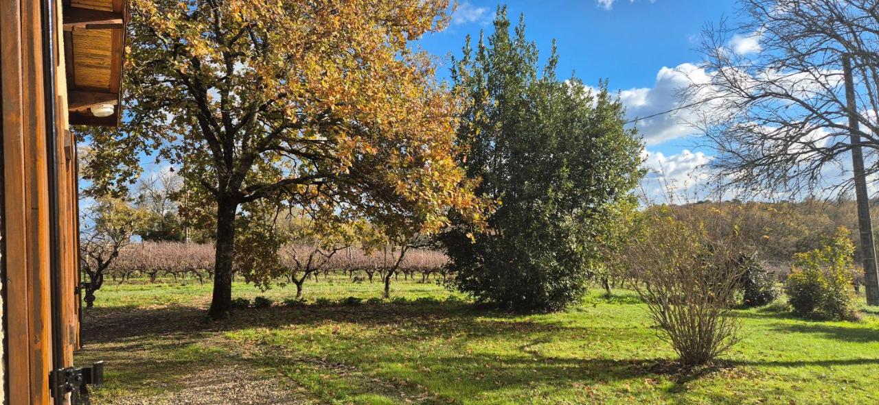 Maison au milieu des vignes - Ferienwohnung Cazaubon