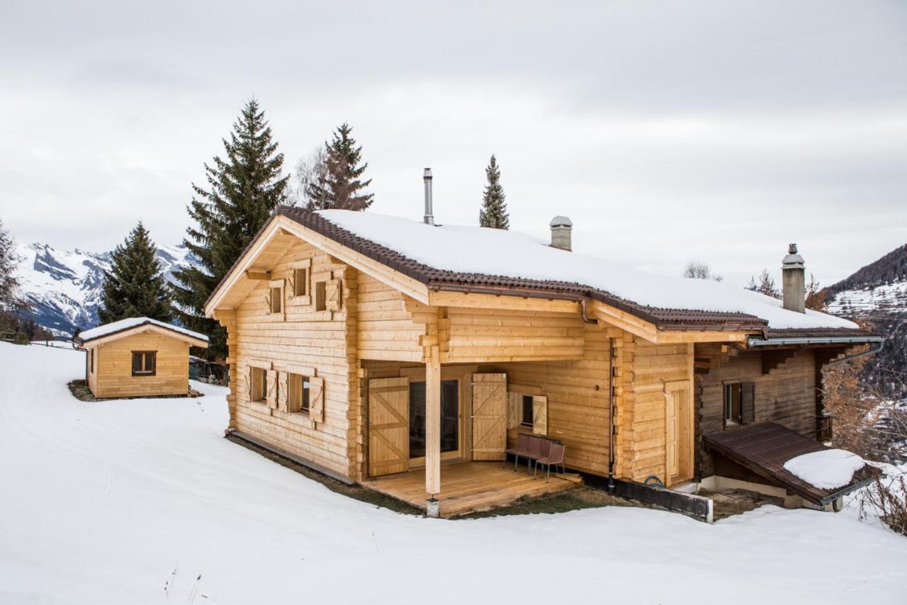 Beautiful Old style 8 -12 person Chalet with a modern extension - Bed and Breakfast La Tzoumaz