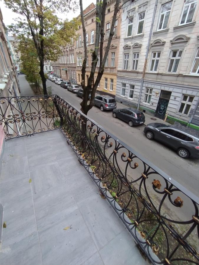 Lviv Apartments on Meretyna street - між вокзалом і центром - B&B Lviv