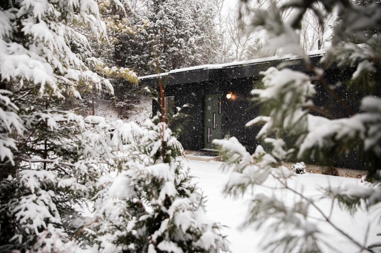 Cozy Luxury Cabin w Hot Tub, Fire Pit, King Bed - Bed and Breakfast Newry