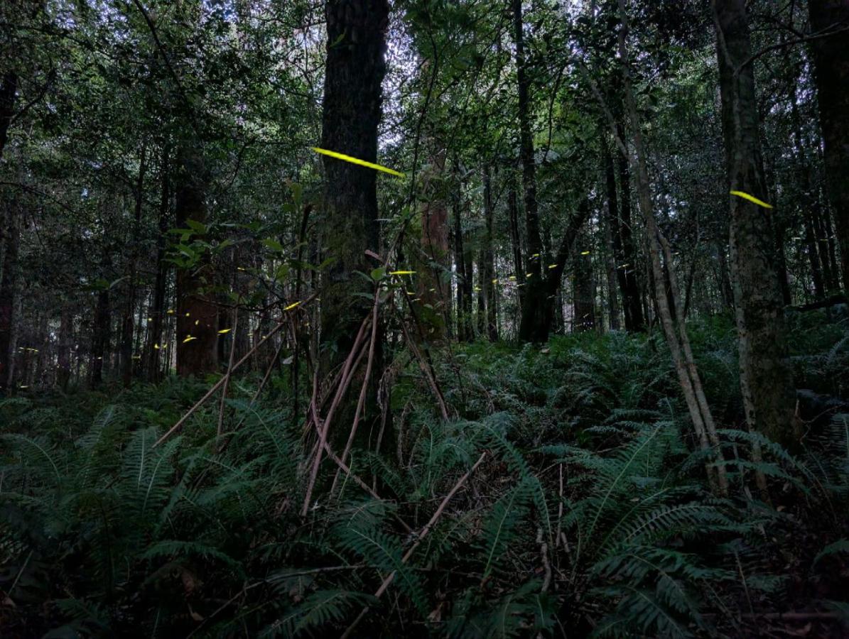 Nunyara - Sauna, Hot & Cold Outdoor Bath, Firefly Season - B&B Newnes Junction