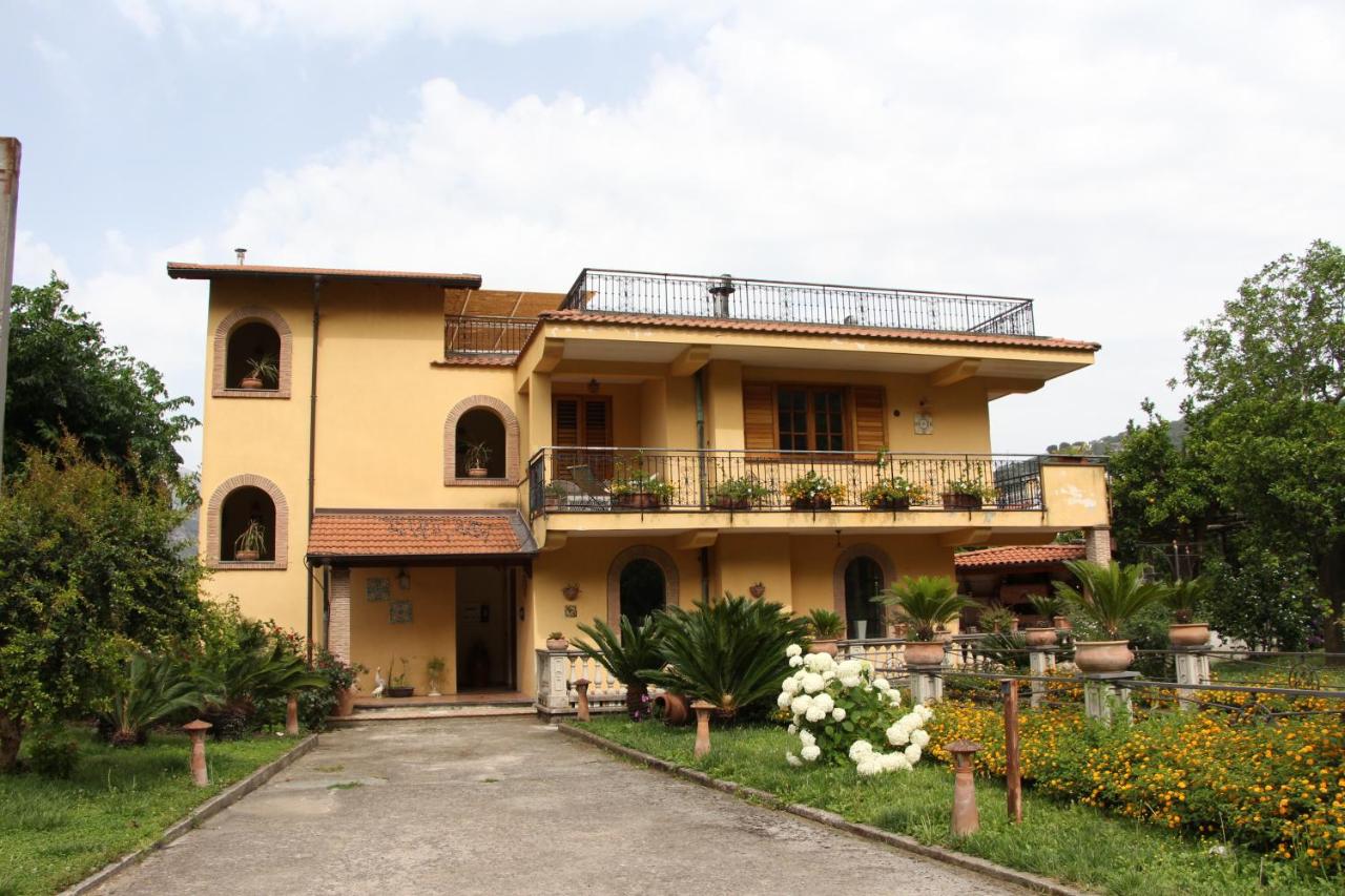 One-Bedroom Apartment - Ground Floor