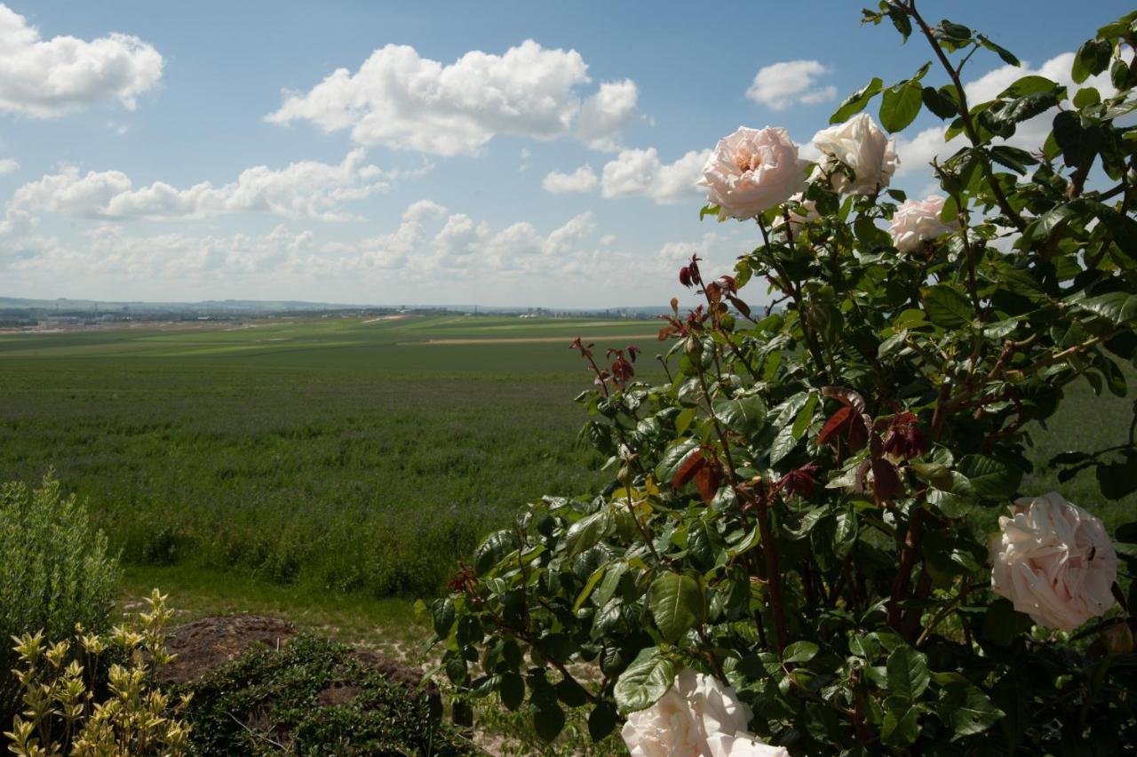 Happy - B&B Cernay-lès-Reims