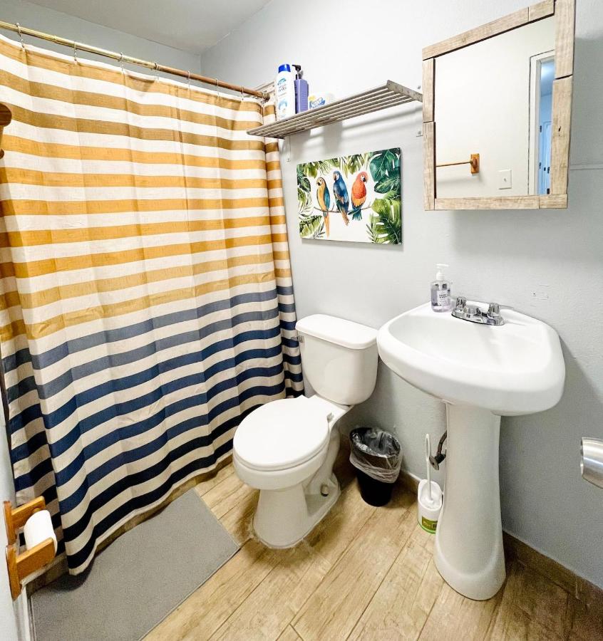 Apartamento de 1 dormitorio