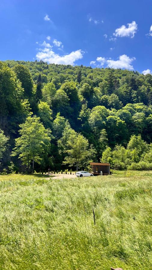 Hill de Charme - B&B Korostiv