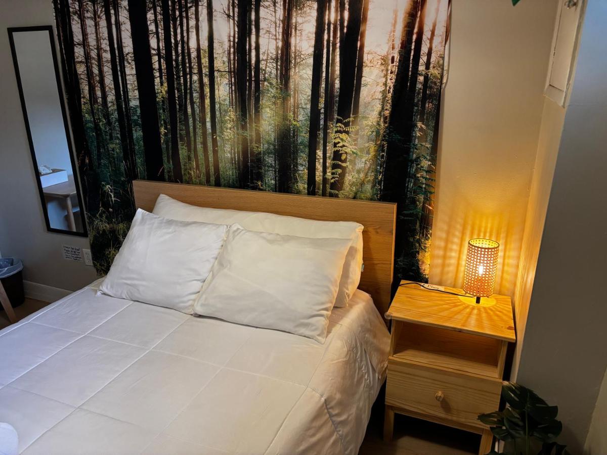 Double Room with Shared Bathroom