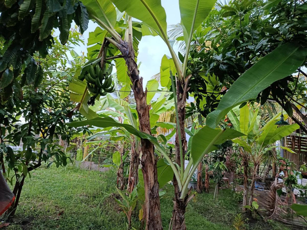 Deluxe Tweepersoonskamer met Balkon en Uitzicht op Zee