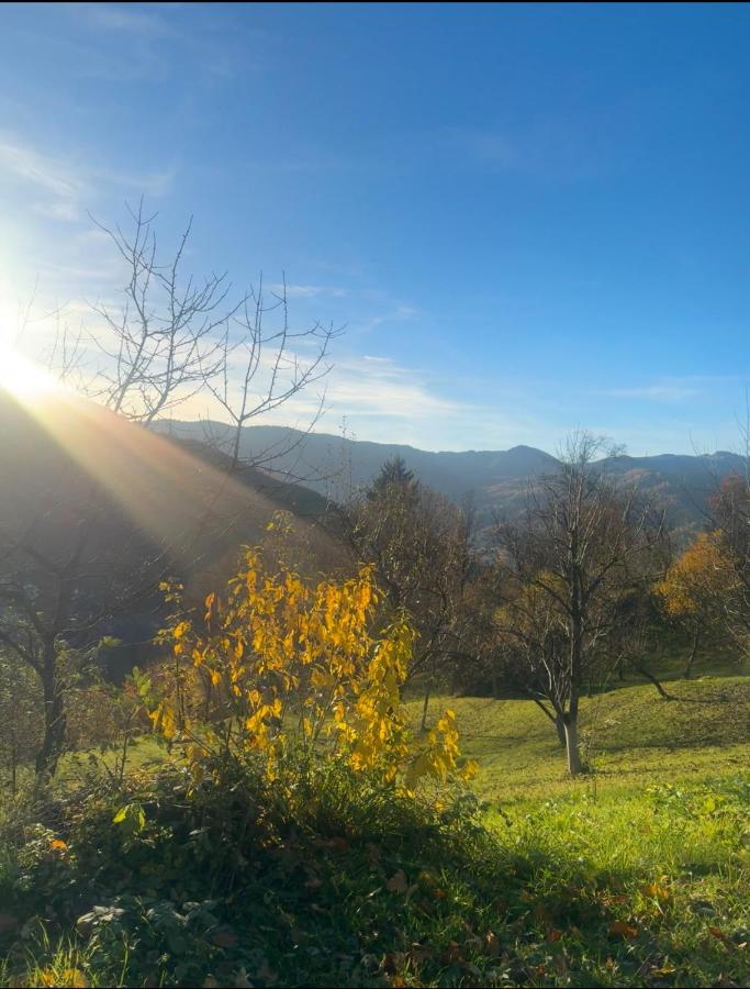 Будинок під Менчулом - Ferienwohnung Rachiw