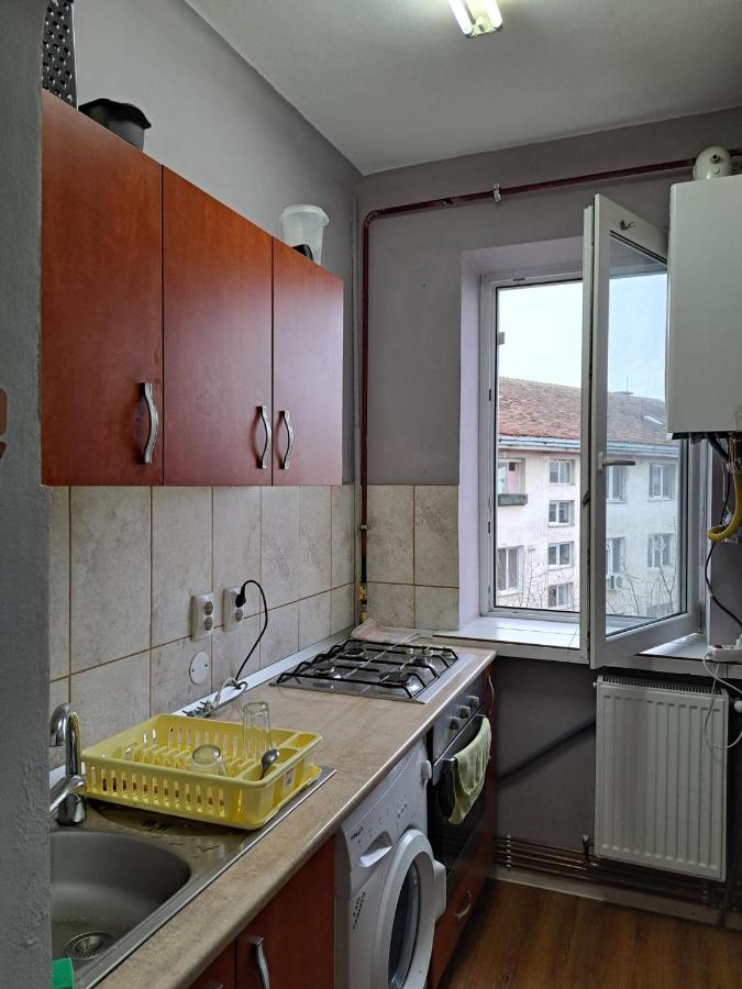 Garsoniera in inima Targului de Craciun - Ferienwohnung Craiova