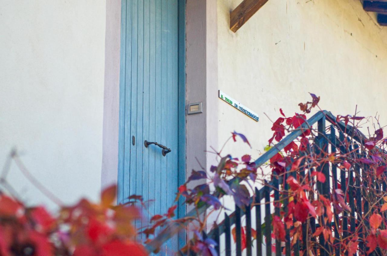CasaLeMonache - Appartamenti nel Casale Umbro - Ferienwohnung San Gemini